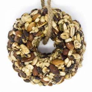 Gone Nuts Wreath Small